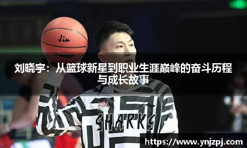 好博体育官方网站